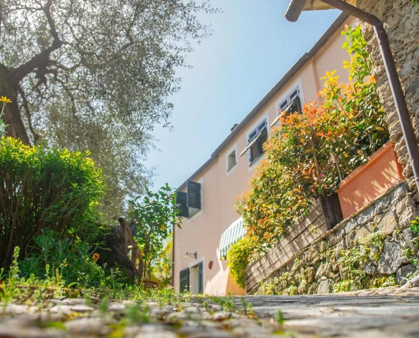Farm stay Agriturismo Villa Caterina Levanto