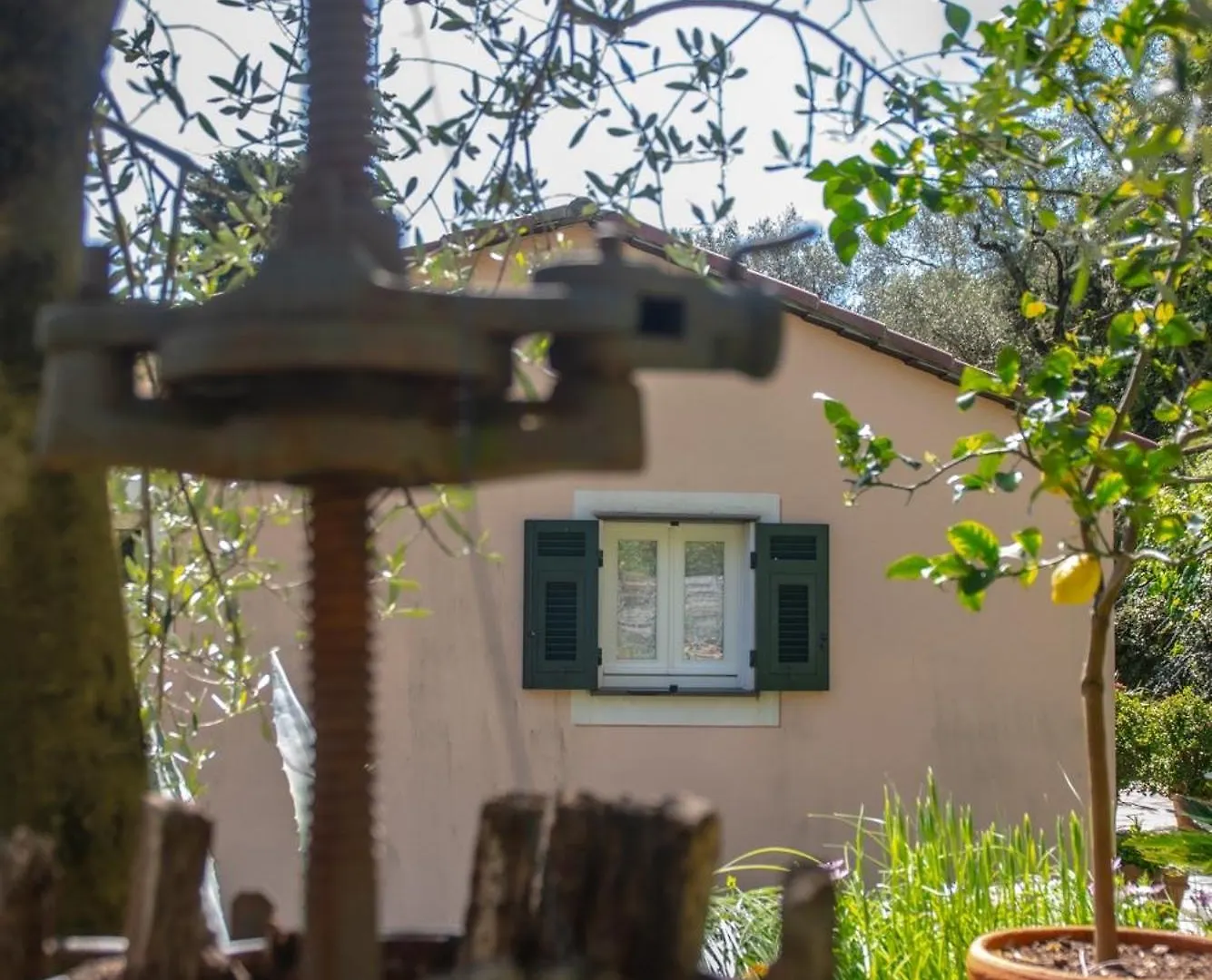 Agriturismo Villa Caterina Levanto Farm stay