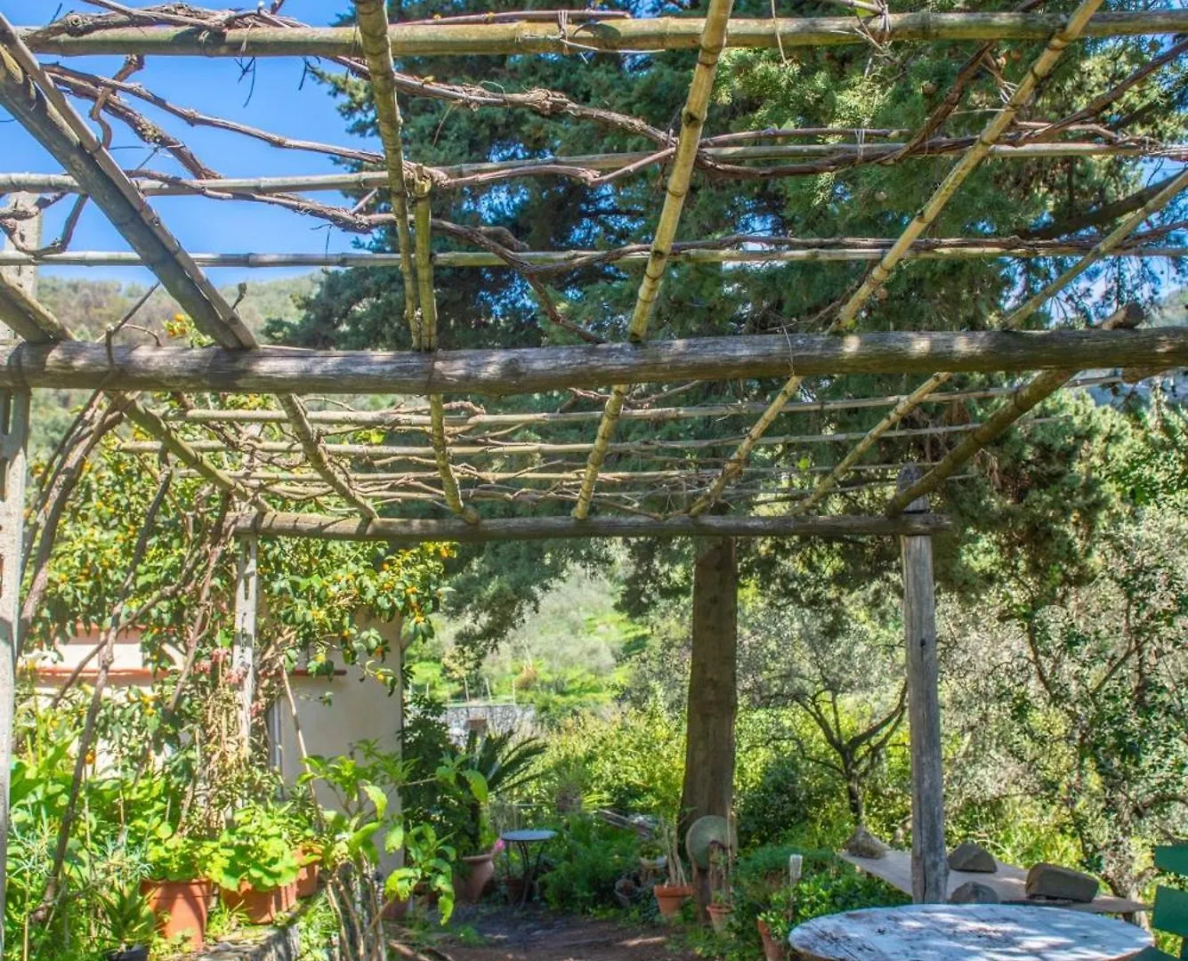 Farm stay Agriturismo Villa Caterina Levanto