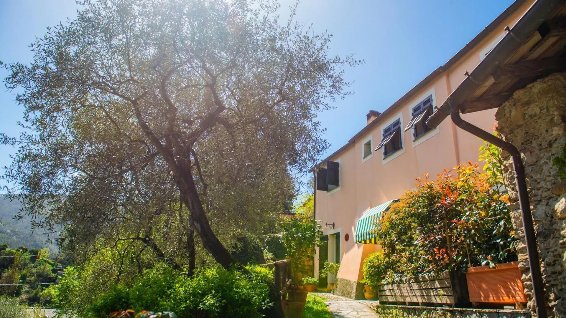 Agriturismo Villa Caterina Levanto Farm stay